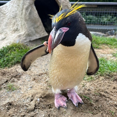 Folly Farm Adventure Park & Zoo